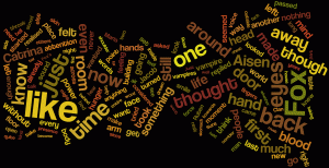 NaNoWriMo 2011 Word Cloud